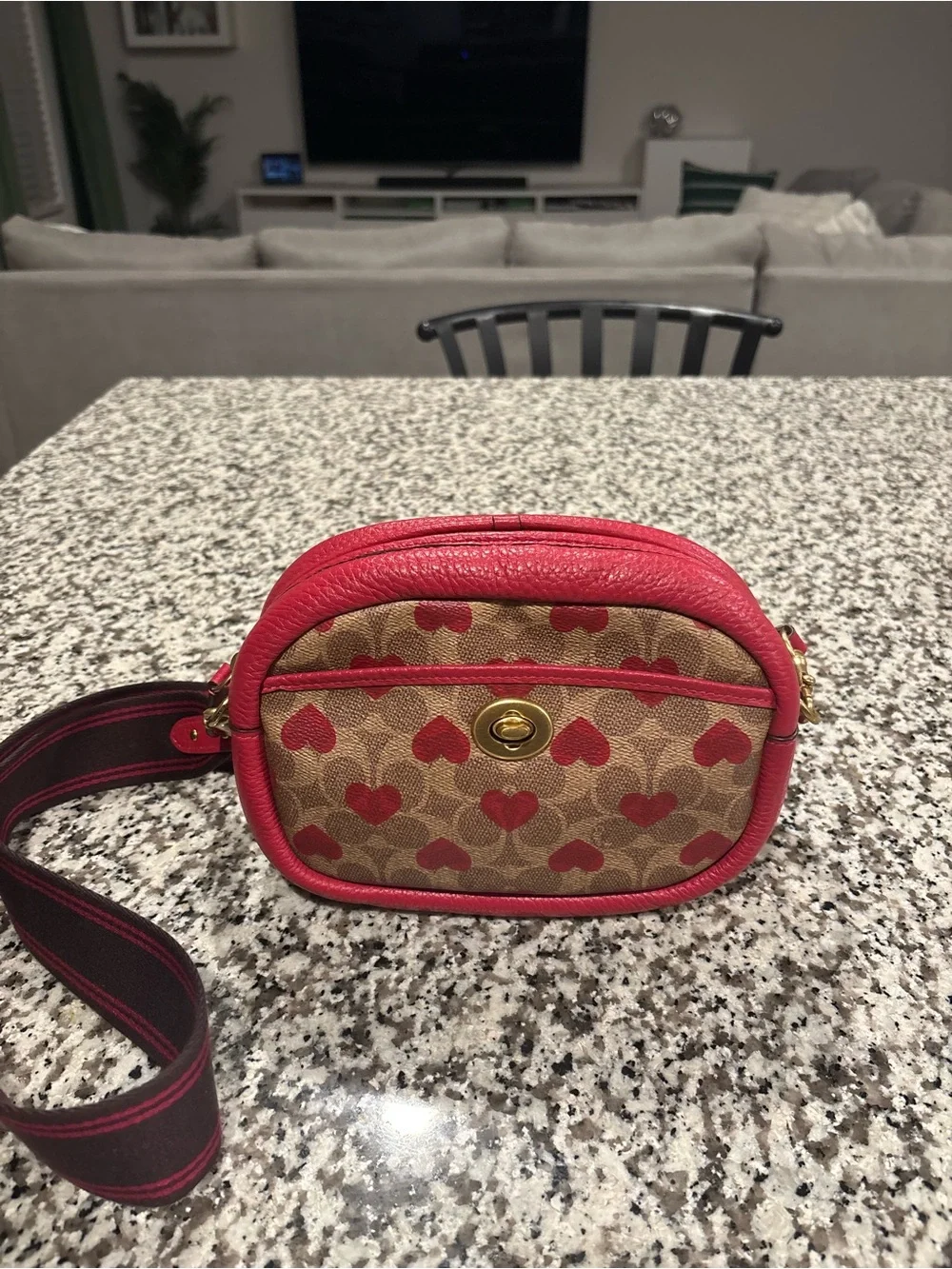 COACH Camera Heart Bag | Red and Brown | Medium